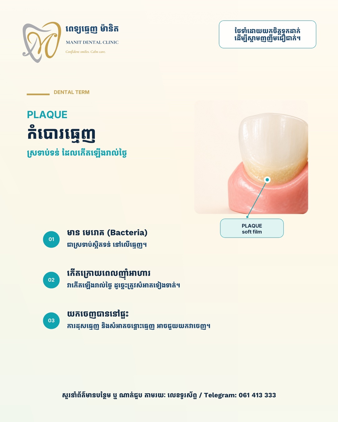 រូបភាព Manit ពន្យល់ថា Plaque ជាអ្វី